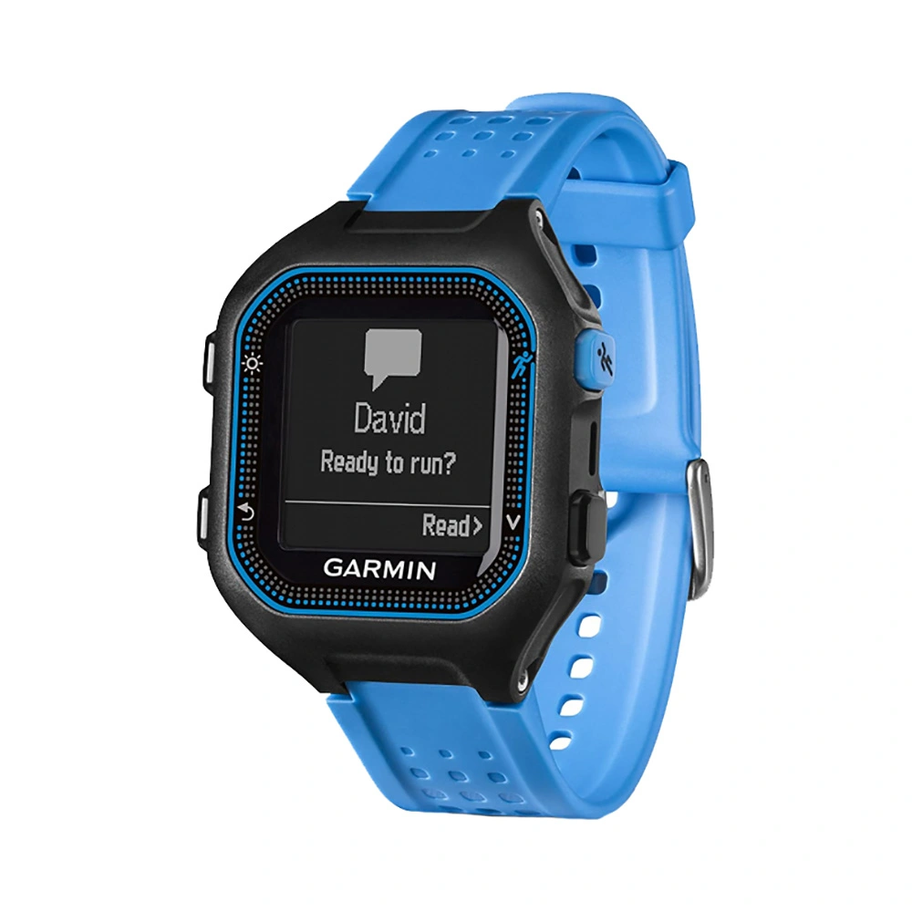 Часы Garmin Forerunner 25 черно-синие большие
